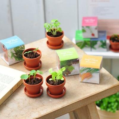 Grow Items and Seeds