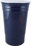 Double Wall Insulated 16oz Plastic Cup