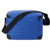 6 Pack Insulated Lunch Bags