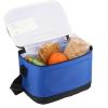 6 Pack Insulated Lunch Bags