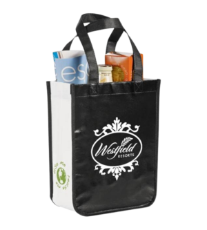 Small Laminated Non-Woven Gift Tote