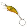 Fishing Lure Keychain with Clasp