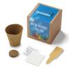 Inspirational Growables Planter in Kraft Gift Box