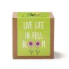 Inspirational Growables Planter in Kraft Gift Box