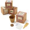 Small Sugar Pumpkin Growables Planter in Kraft Gift Box